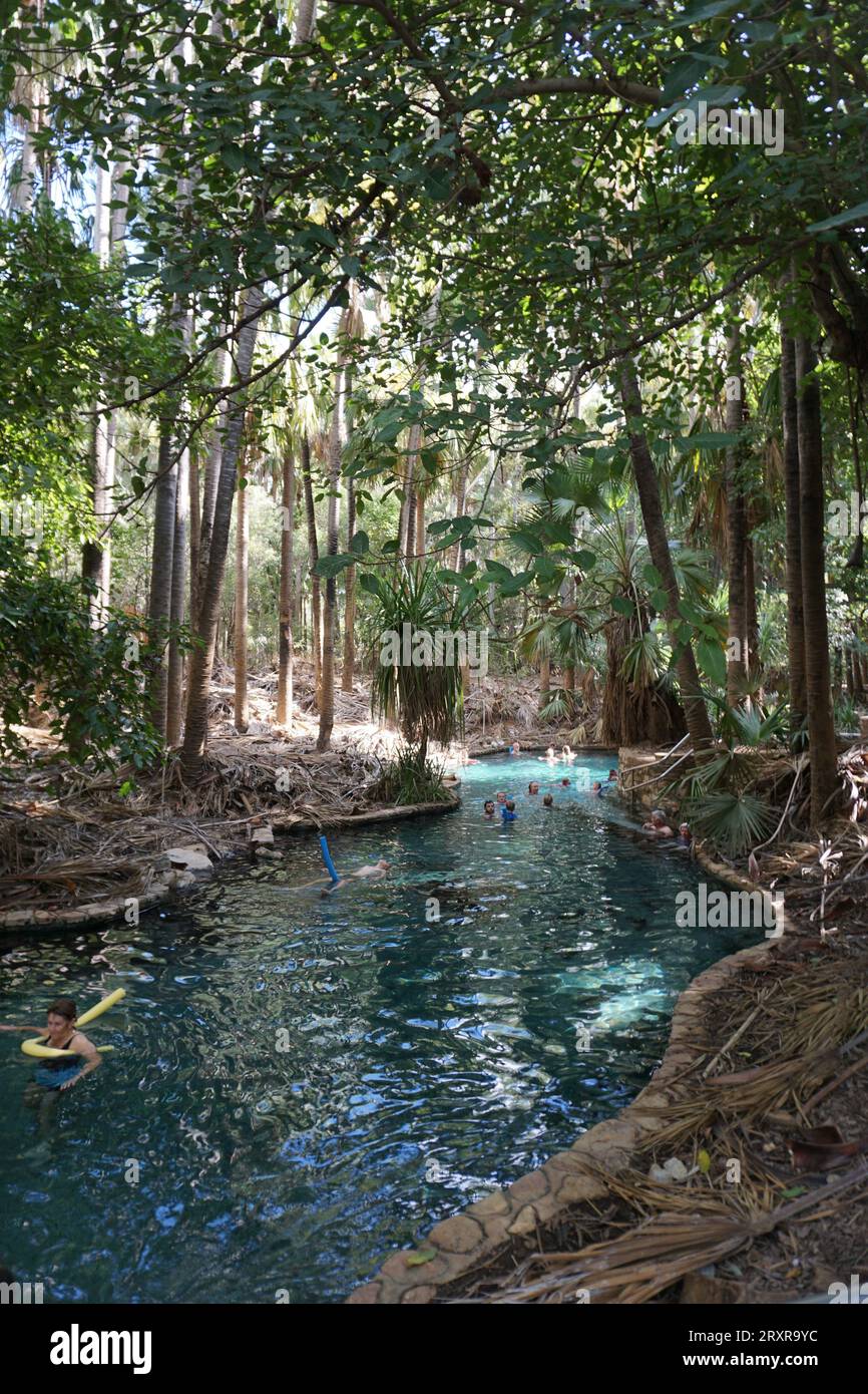 Des gens flottant dans l'eau avec des nouilles de piscine à Mataranka Thermal Pool et Rainbow Springs, territoire du nord, australie Banque D'Images