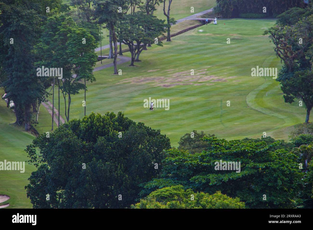 Terrain de golf à Rio de Janeiro, brésil. Banque D'Images