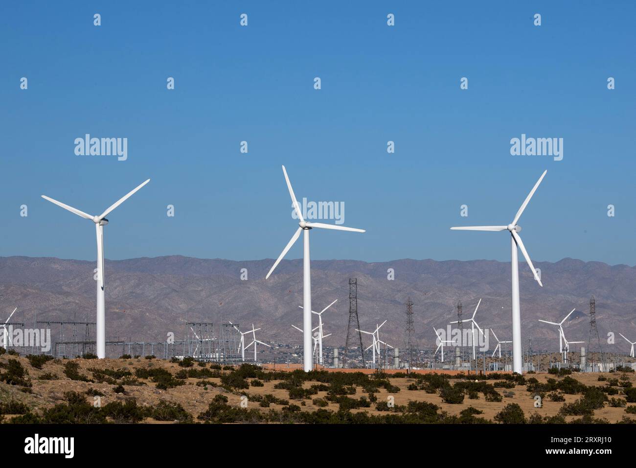 Quelques-unes des plus de 1200 éoliennes commerciales du parc éolien San Gorgonio Pass, qui alimente en électricité Palm Springs et Los Angeles, en Californie Banque D'Images