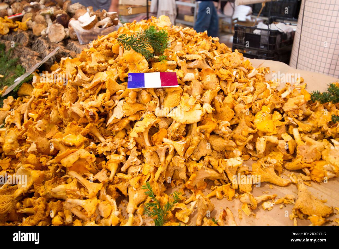 Chanterelle française sur un marché en automne Banque D'Images