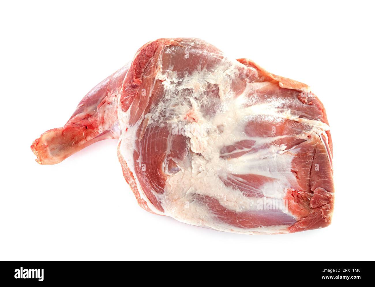 Epaule d'agneau in front of white background Banque D'Images