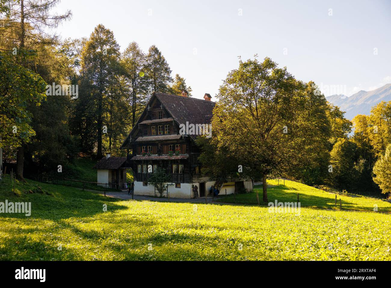 Ancienne maison traditionnelle suisse en bois à Ballenberg en automne Banque D'Images
