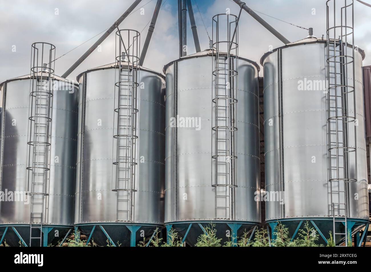 Gros plan de quatre silos à grains Banque D'Images
