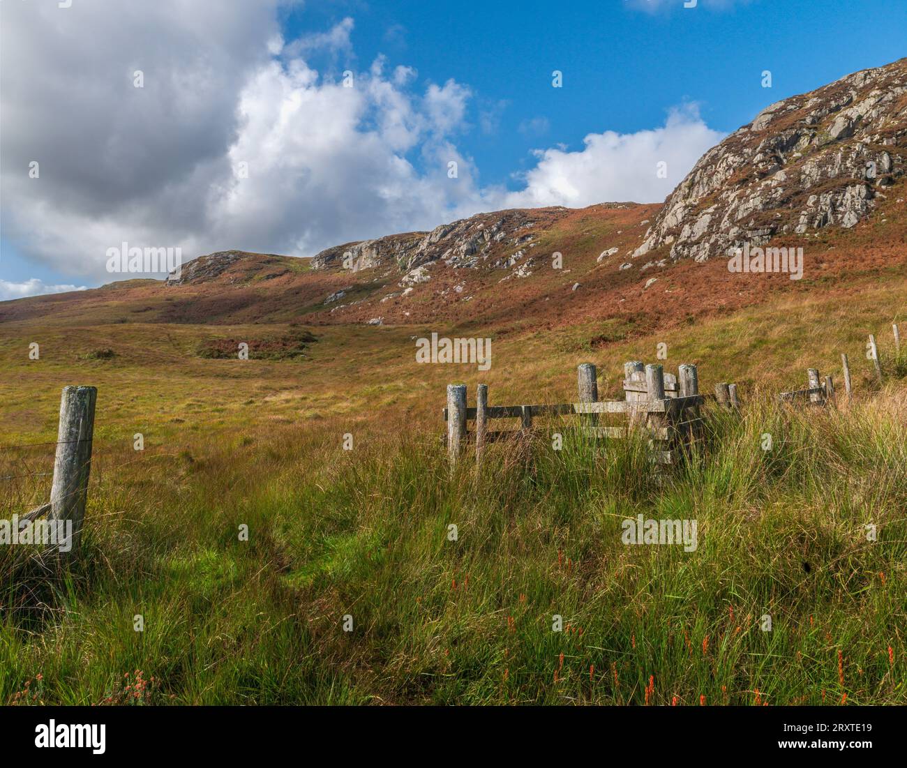 Les cliniques de Dromore dans le Cairnsmore de Fleet National nature Reserve Galloway, Écosse Banque D'Images