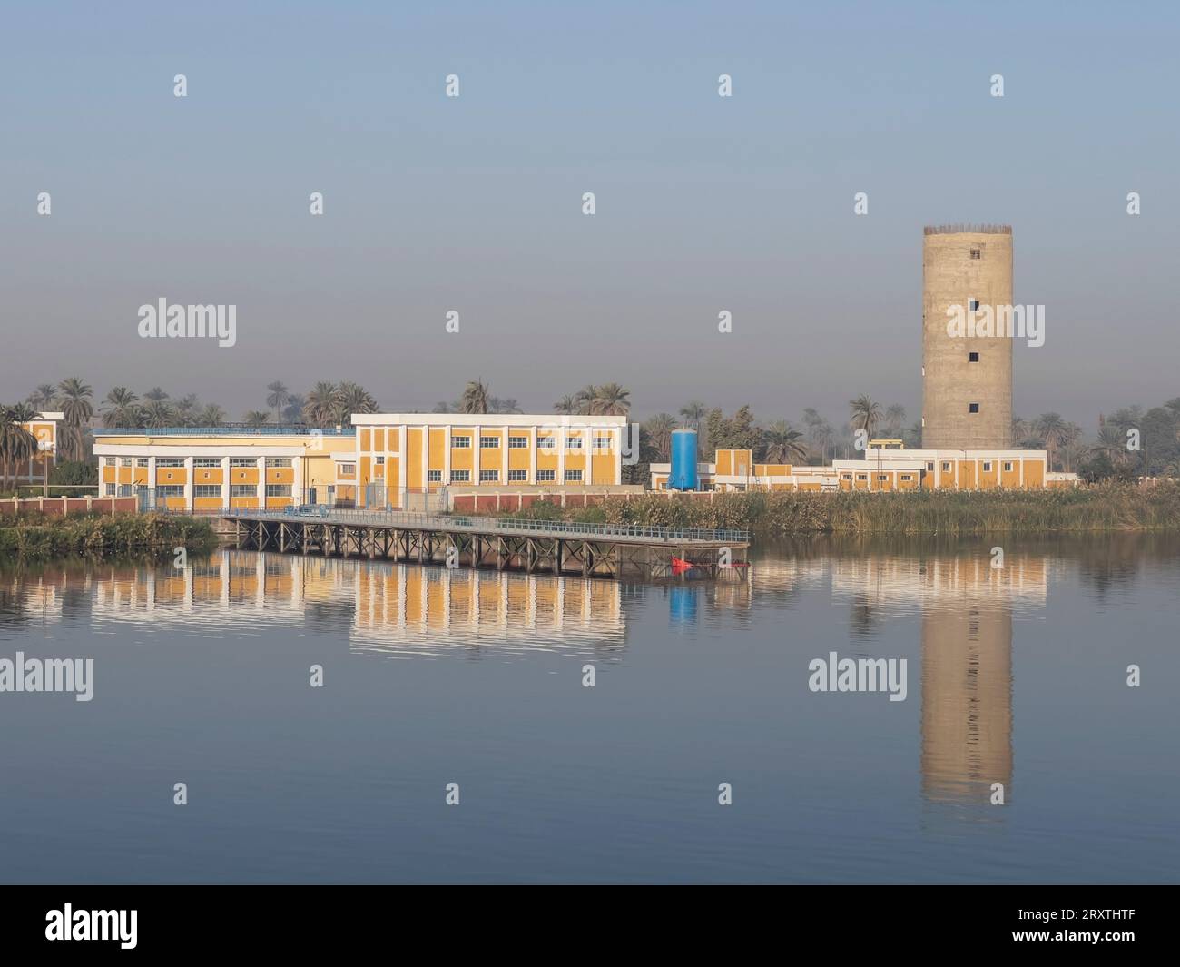 Une vue du rivage le long du Nil supérieur, parmi certaines des terres les plus verdoyantes le long du fleuve, Egypte, Afrique du Nord, Afrique Banque D'Images