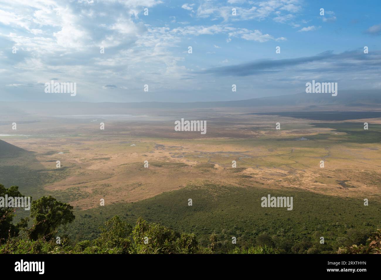 Le cratère du Ngorongoro, en Tanzanie, l'Afrique Banque D'Images