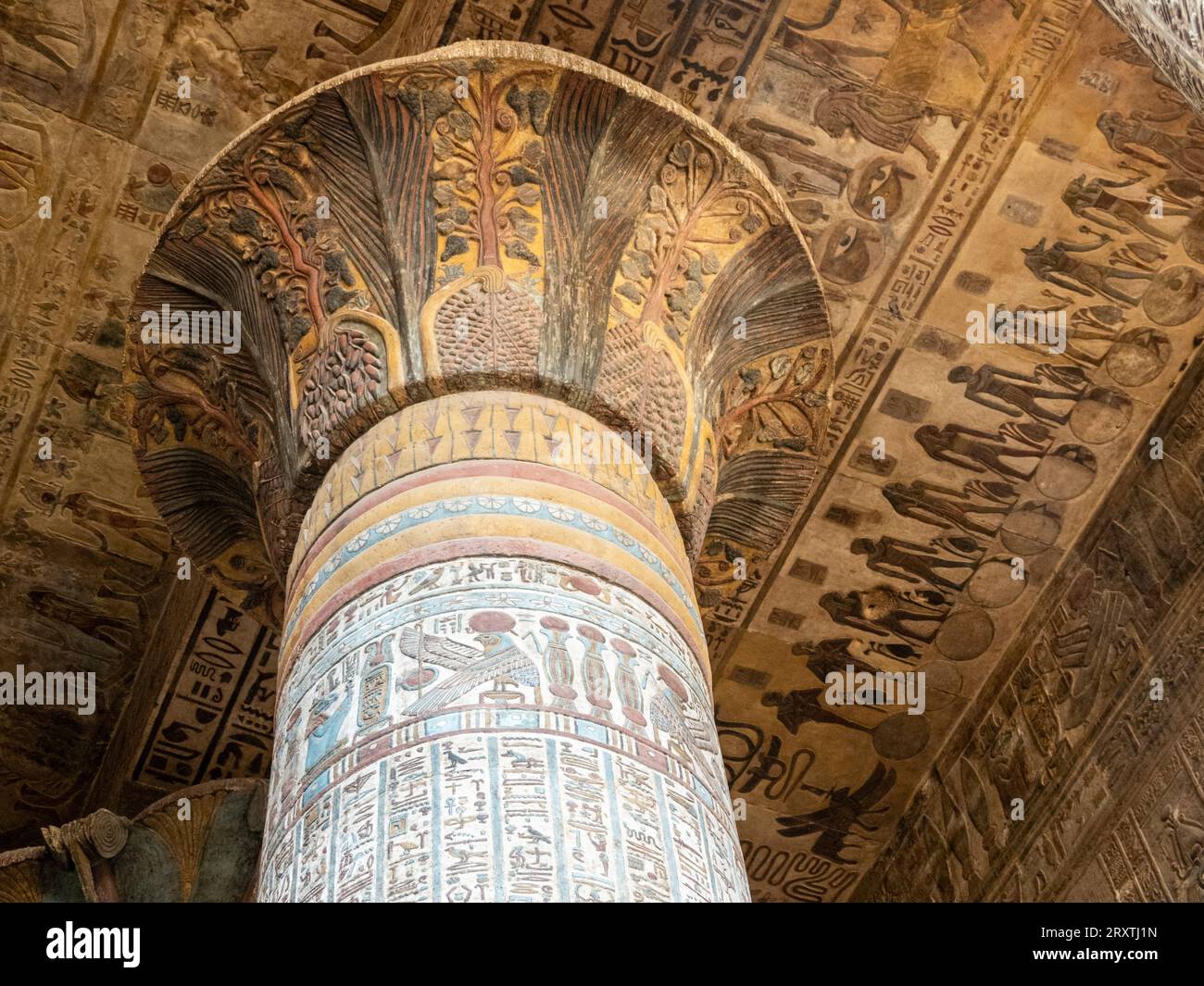 Colonnes dans le temple de Hathor, qui a commencé la construction en 54 av. J.-C., une partie du complexe du temple de Dendera, Dendera, Egypte, Afrique du Nord, Afrique Banque D'Images