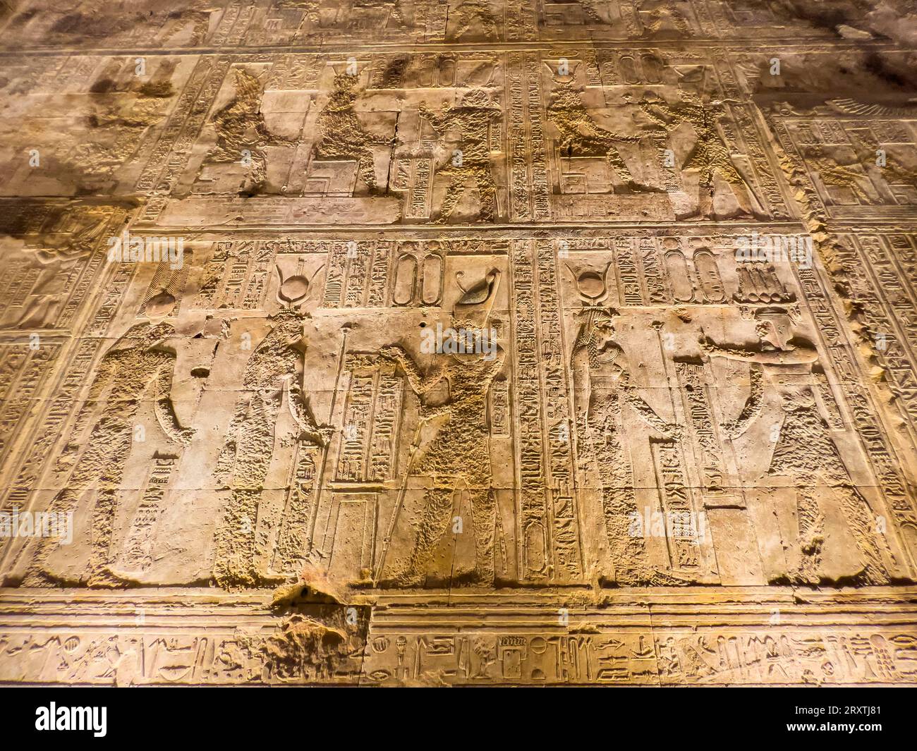 Vue intérieure des reliefs à l'intérieur du temple de Hathor, complexe du temple de Dendera, Dendera, Egypte, Afrique du Nord, Afrique Banque D'Images