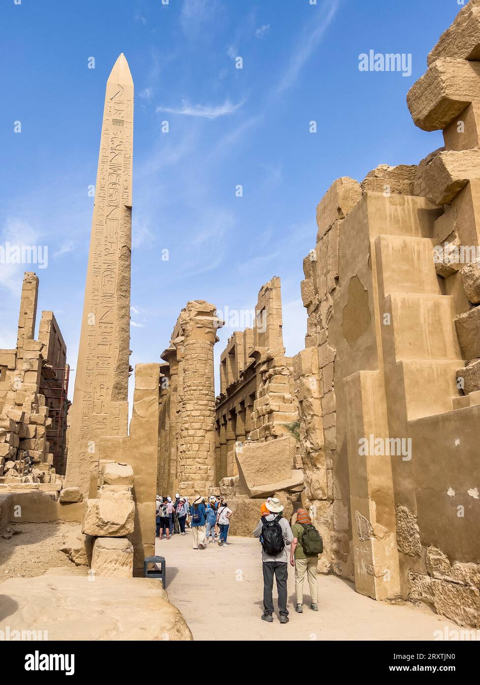 Obélisque de Thutmosis I, complexe du temple de Karnak, un vaste mélange de temples, pylônes et chapelles, site du patrimoine mondial de l'UNESCO, près de Louxor, Thèbes Banque D'Images
