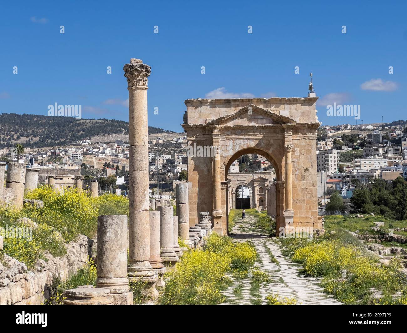 Arcade columée dans l'ancienne ville de Jerash, qui aurait été fondée en 331 av. J.-C. par Alexandre le Grand, Jerash, Jordanie, Moyen-Orient Banque D'Images