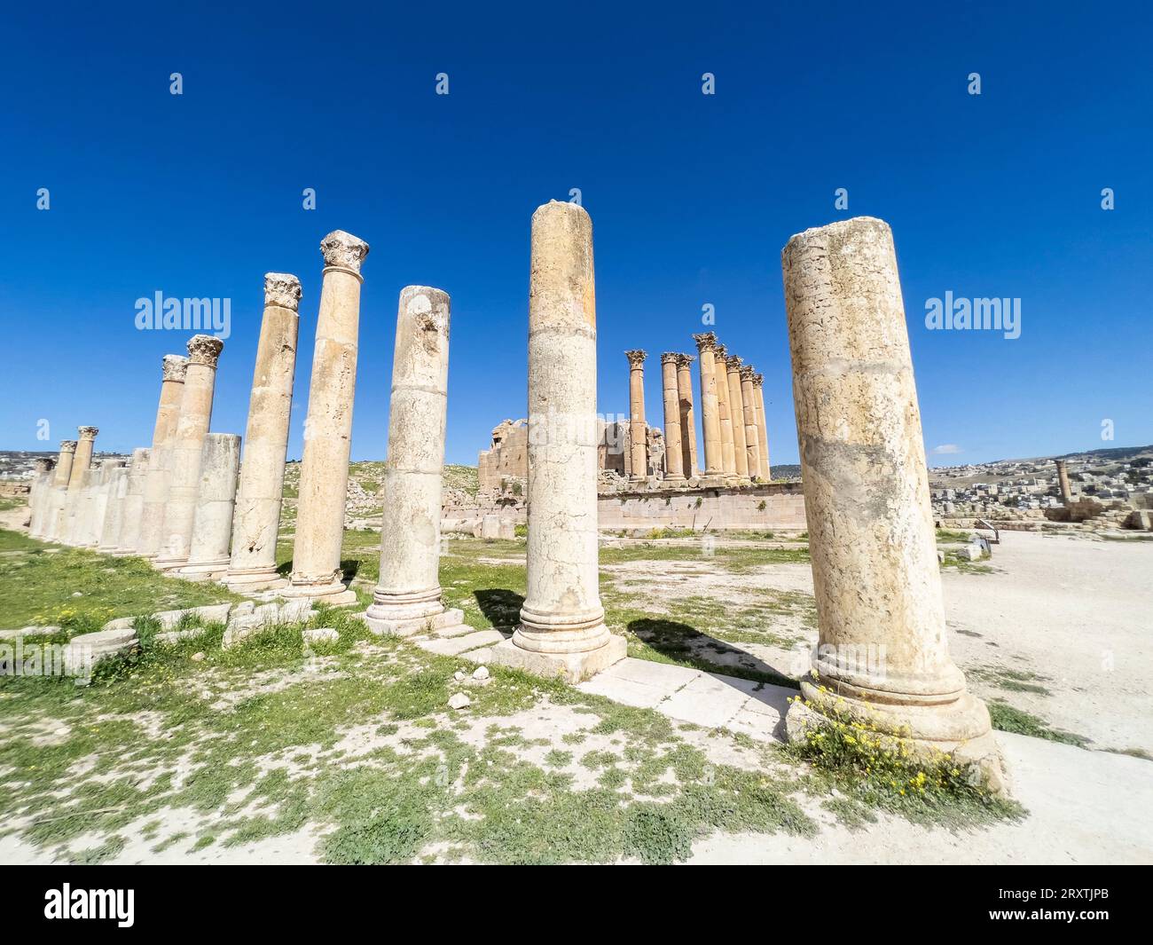 Des colonnes encadrent un bâtiment dans l'ancienne ville de Jerash, qui aurait été fondée en 331 av. J.-C. par Alexandre le Grand, Jerash, Jordanie, Moyen-Orient Banque D'Images