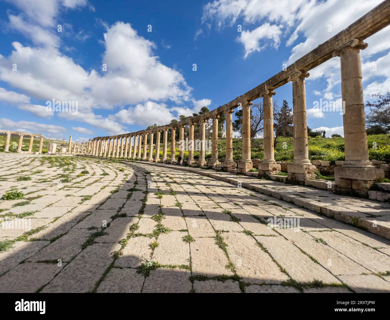 Colonnes de la place ovale dans l'ancienne ville de Jerash, qui aurait été fondée en 331 av. J.-C. par Alexandre le Grand, Jerash, Jordanie, Moyen-Orient Banque D'Images