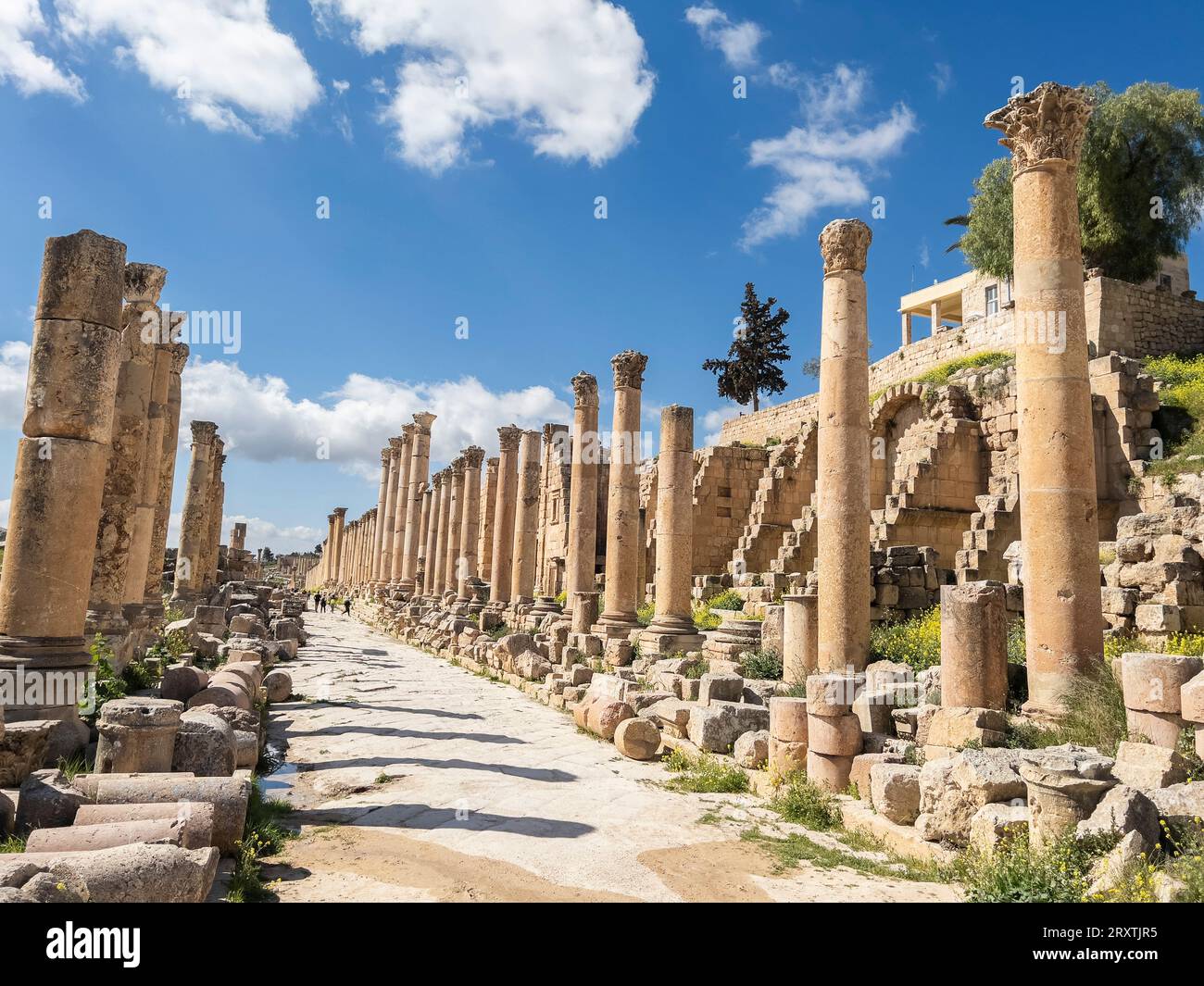 Arcade columée dans l'ancienne ville de Jerash, qui aurait été fondée en 331 av. J.-C. par Alexandre le Grand, Jerash, Jordanie, Moyen-Orient Banque D'Images