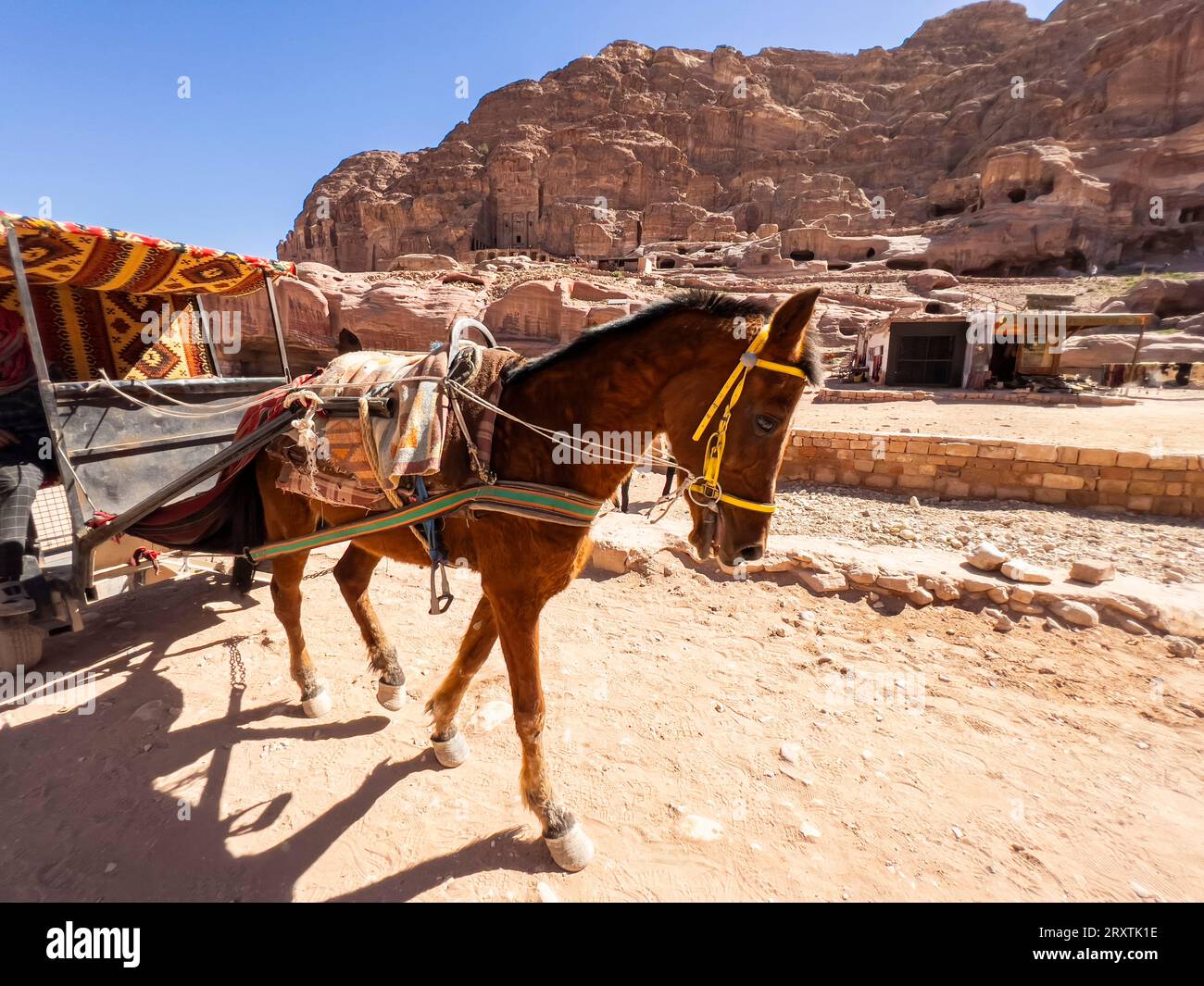 Charrette à âne, parc archéologique de Petra, site du patrimoine mondial de l'UNESCO, l'une des sept nouvelles merveilles du monde, Petra, Jordanie, Moyen-Orient Banque D'Images
