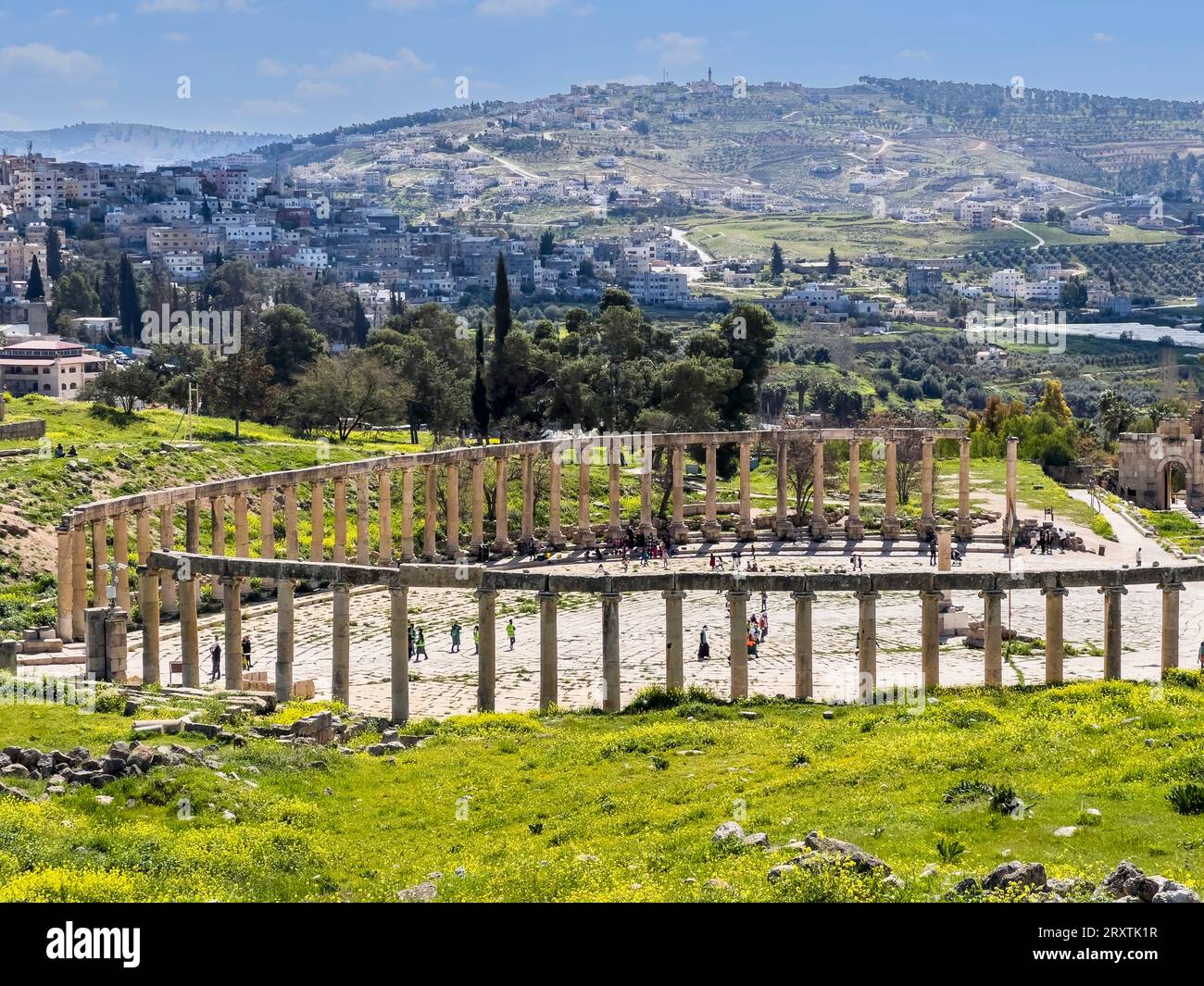 Des colonnes encadrent la place ovale dans l'ancienne ville de Jerash, qui aurait été fondée en 331 av. J.-C. par Alexandre le Grand, Jerash, Jordanie, Moyen-Orient Banque D'Images