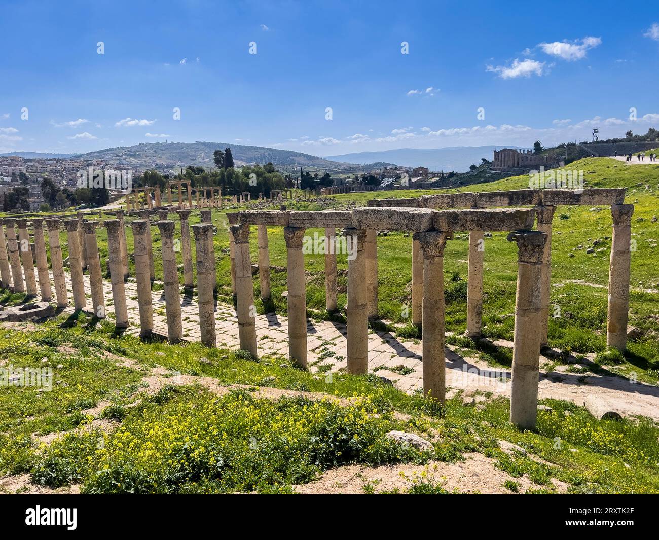 Des colonnes bordent une rue de l'ancienne ville de Jerash, qui aurait été fondée en 331 av. J.-C. par Alexandre le Grand, Jerash, Jordanie, Moyen-Orient Banque D'Images