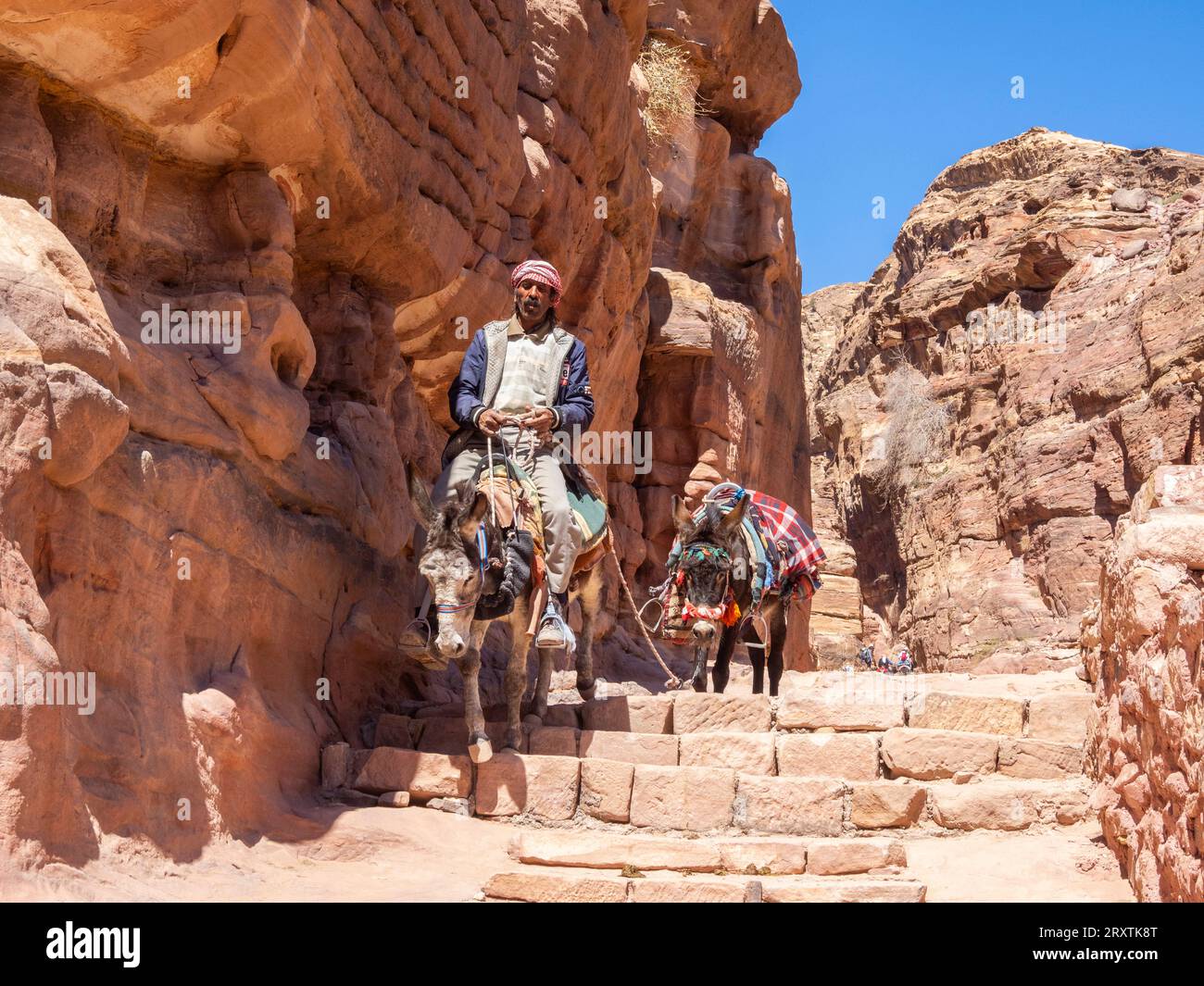 Ânes sur le chemin du monastère de Petra (Al Dayr), parc archéologique de Petra, UNESCO, l'une des sept nouvelles merveilles du monde, Petra, Jordanie Banque D'Images