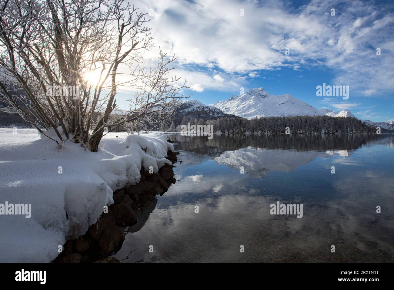 Montagnes enneigées reflétées dans le lac glacé de Sils pendant un hiver froid, Engadine, Canton de Graubunden, Suisse, Europe Banque D'Images