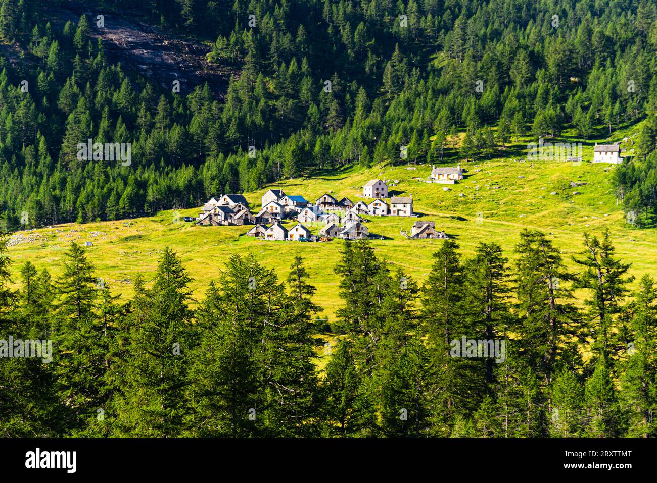 Pittoresque village alpin construit de rochers, entouré de prairies verdoyantes et de forêt, Varzo, Alpe Veglia, Verbania, Piémont, Italie, Europe Banque D'Images