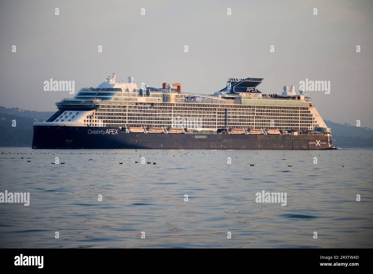 navire de croisière apex célèbre à belfast lough, irlande du nord, royaume-uni Banque D'Images
