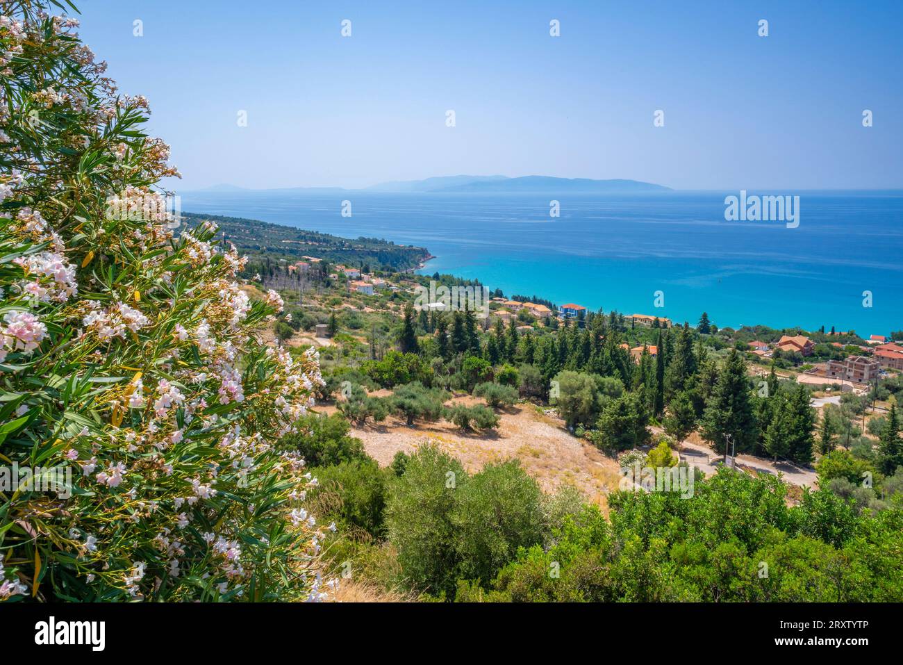 Vue sur les oliveraies et le littoral près de Lourdata, Céphalonie, îles Ioniennes, îles grecques, Grèce, Europe Banque D'Images