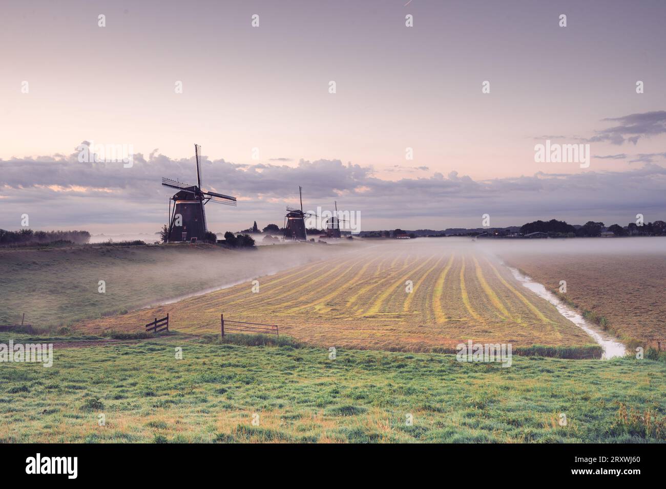 Matinée avec brume aux trois moulins à vent de Stompwijk, pays-Bas. Banque D'Images