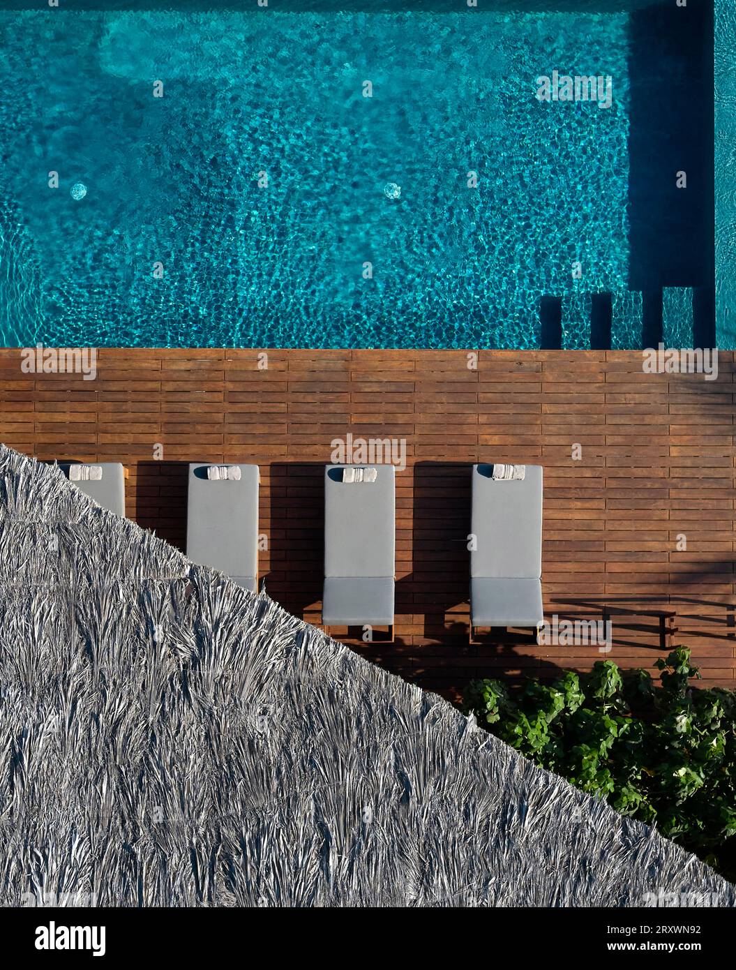 Vue plongeante détaillée de la maison de vacances et de la piscine. Casa Leria, Puerto Escindido, Mexique. Architecte : TAC Taller Alberto Calleja , 2023. Banque D'Images