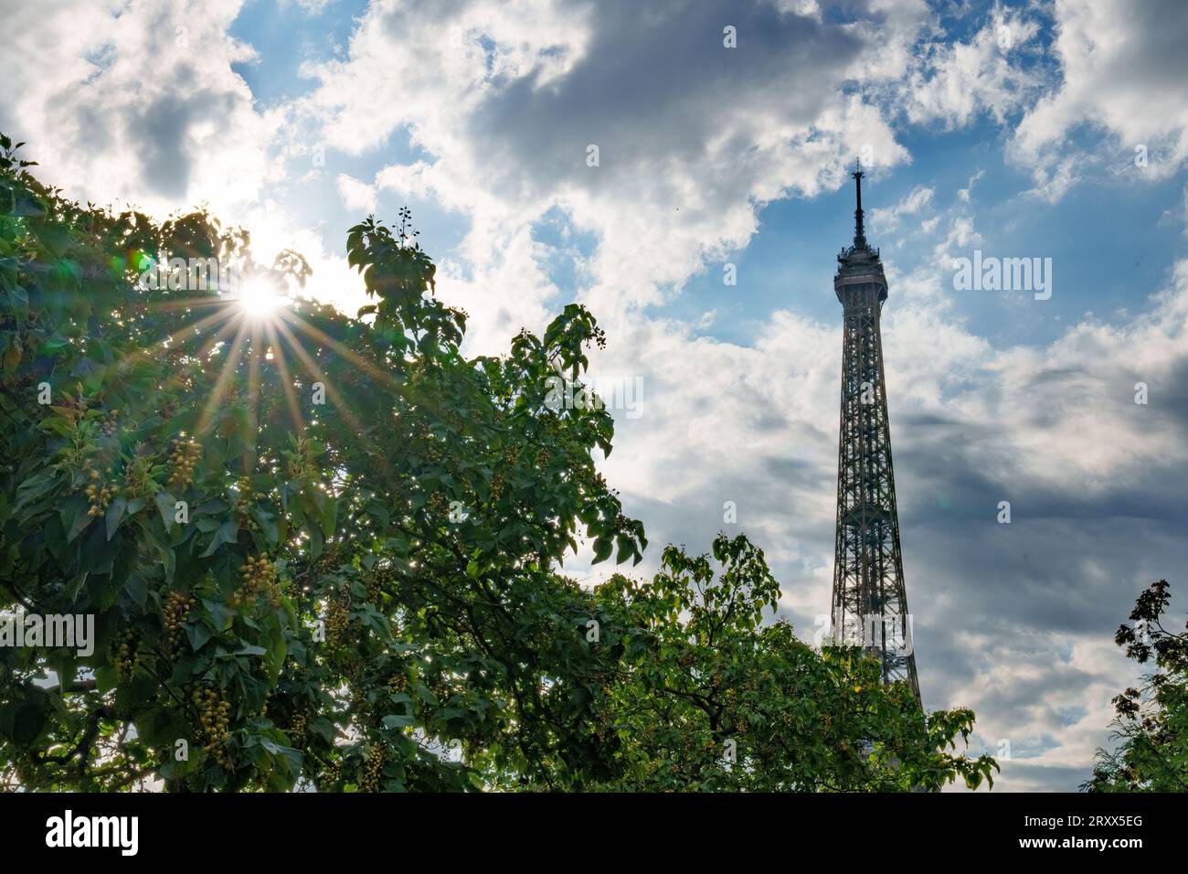 Tour Eiffel avec soleil éclatant jetant un coup d'œil à travers les arbres. Banque D'Images
