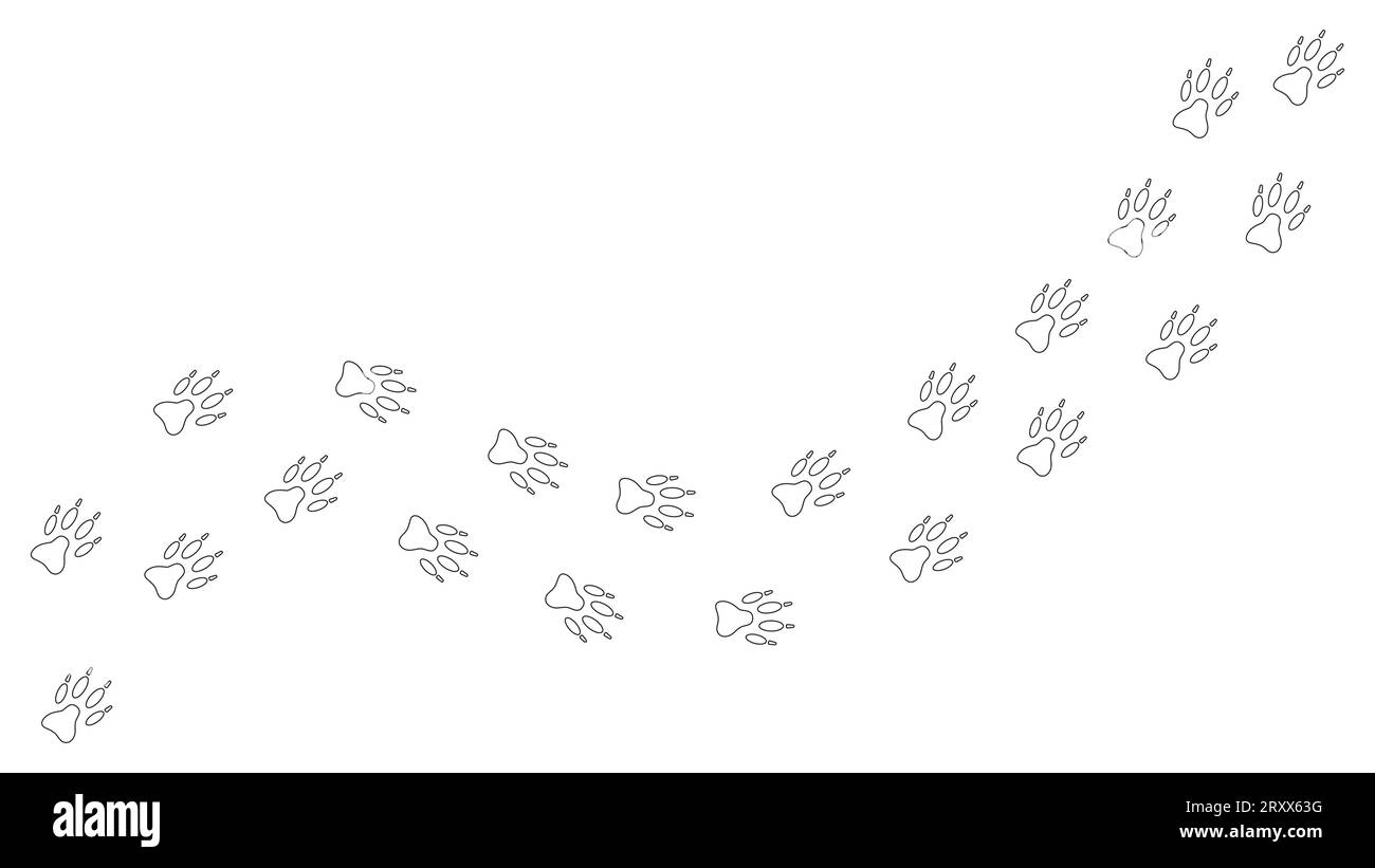 Chemin des empreintes blanches de chien, chiot, loup, renard dans la neige. Imprimé patte de chien, Contour. Piste. Vecteur isolé. Modèle Paw. Trace de loup. Animalerie, impression, textiles, jeu, brochure carte postale Illustration de Vecteur