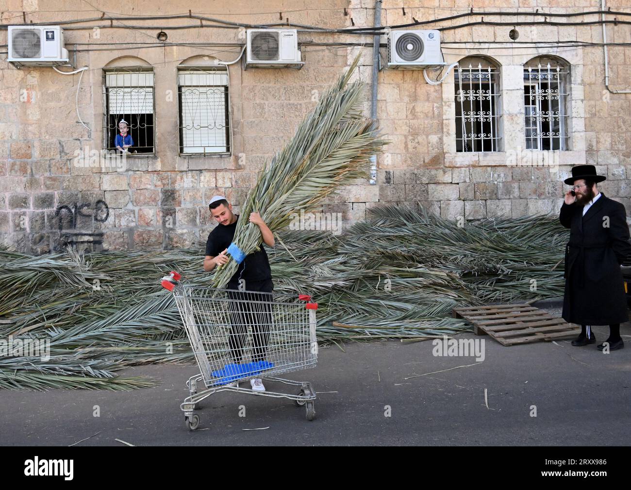 Un vendeur vend des branches de palmier utilisées pendant la fête juive de Soukcot, la fête des Tabernacles, à Mea Shearim à Jérusalem, le mercredi 27 septembre 2023. Les Juifs religieux construisent des huttes temporaires, ou sukkahs, pour commémorer les 40 ans que les Israélites ont erré dans le désert après leur exode d'Egypte. Photo de Debbie Hill/ UPI Banque D'Images
