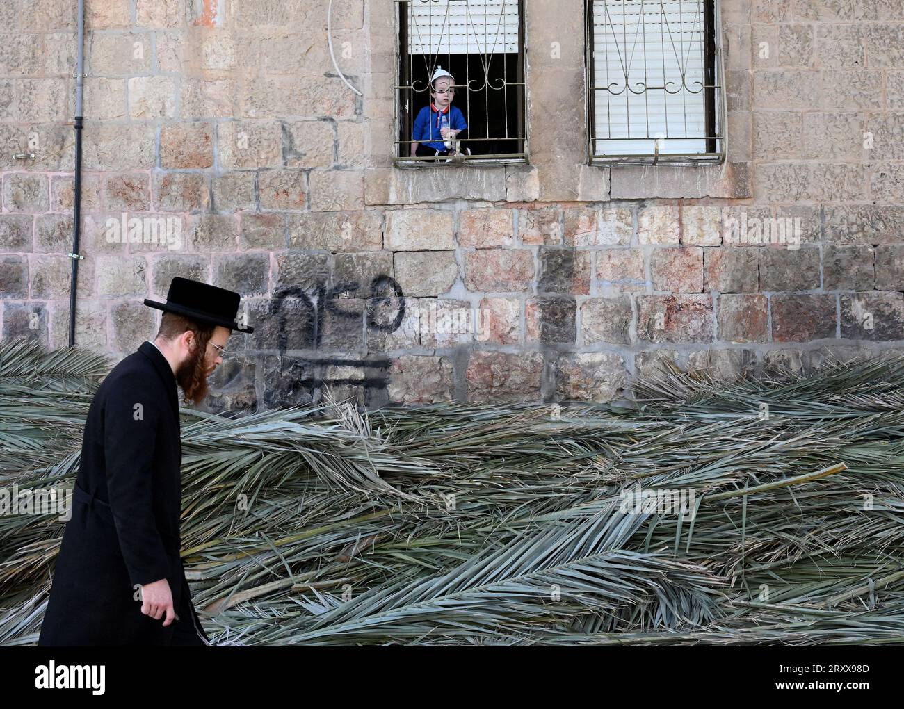 Un juif ultra-orthodoxe passe devant les branches de palmier utilisées pendant la fête juive de Soukcot, la fête des Tabernacles, à Mea Shearim à Jérusalem, le mercredi 27 septembre 2023. Les Juifs religieux construisent des huttes temporaires, ou sukkahs, pour commémorer les 40 ans que les Israélites ont erré dans le désert après leur exode d'Egypte. Photo de Debbie Hill/ UPI Banque D'Images