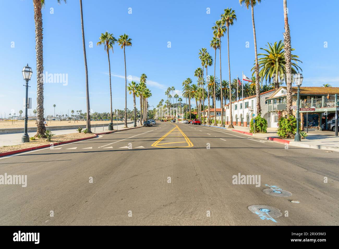 Rue en bord de mer bordée de palmiers par un matin d'automne ensoleillé Banque D'Images