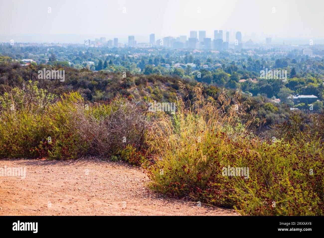 Vues tout en faisant du vélo sur la boucle inspiration point au parc historique Will Rogers à Santa Monica, en californie. Vue sur l'océan pacifique et le centre-ville de Los Banque D'Images