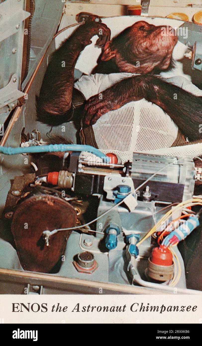 Enos l'astronaute de la NASA chimpanzé, en préparation pour la mission Mercury-Atlas 5, carte postale lithographique Banque D'Images