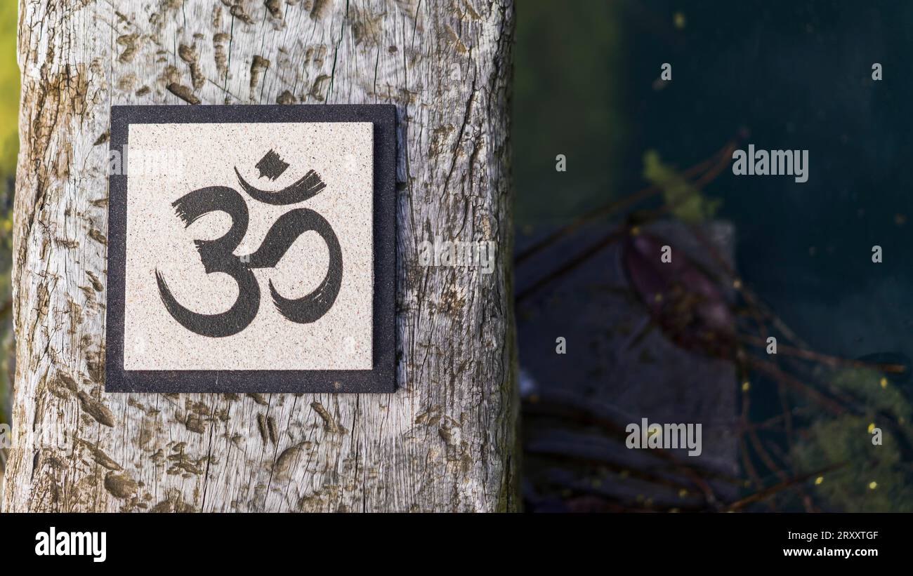 Vue d'angle de dessus d'un panneau Om sur le tronc d'arbre au-dessus de l'eau. Concept de yoga et de méditation. Espace de copie Banque D'Images