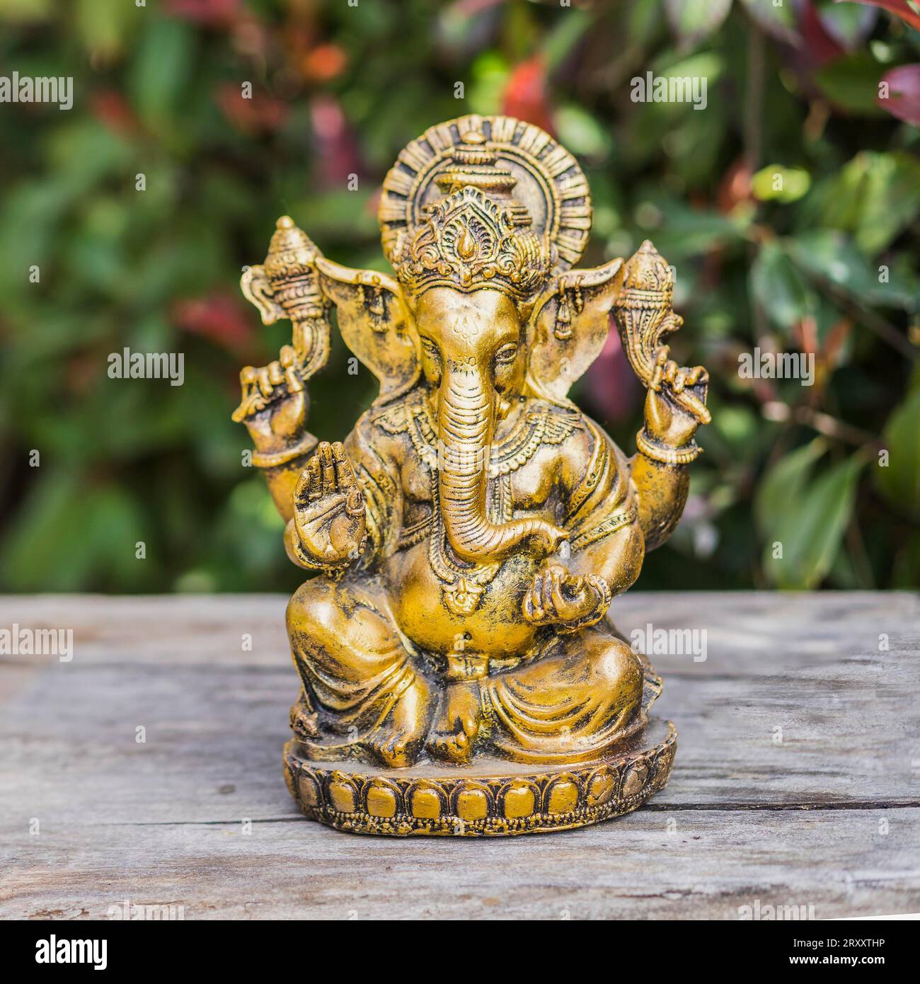 Statue de Ganesha assise dans la pose méditante de yoga sur un tronc Banque D'Images
