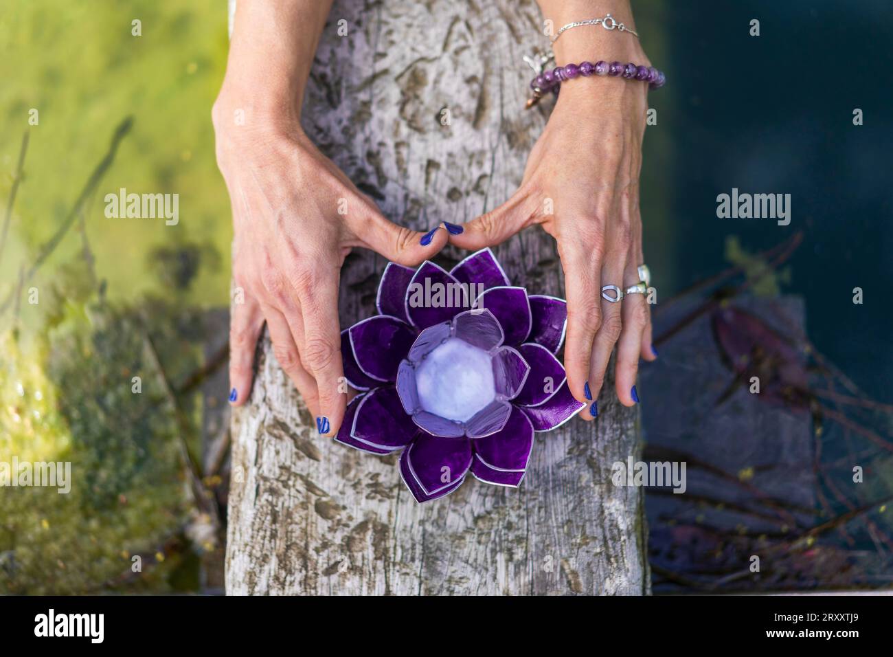 Vue d'angle de dessus des mains tenant un lotus en verre violet sur un tronc d'arbre au-dessus de l'eau. Concept de yoga et de méditation Banque D'Images