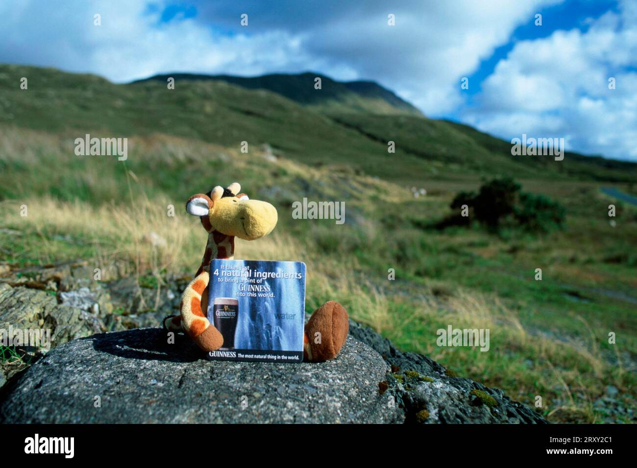 Animal en peluche avec panneau publicitaire pour Guinness à Doo Lough Pass, comté de Mayo, Irlande Banque D'Images