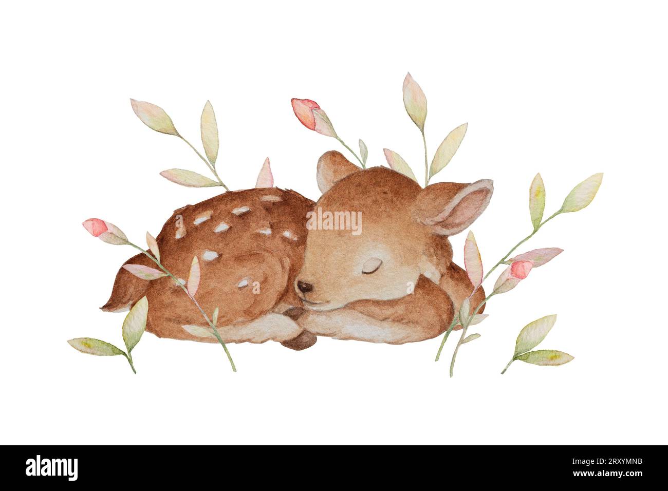 Aquarelle Sleeping Baby Deer, Woodland Animals Clipart, impressions de chambre d'enfants, Baby Clipart, composition pré-faite, Clipart aquarelle bébé Banque D'Images