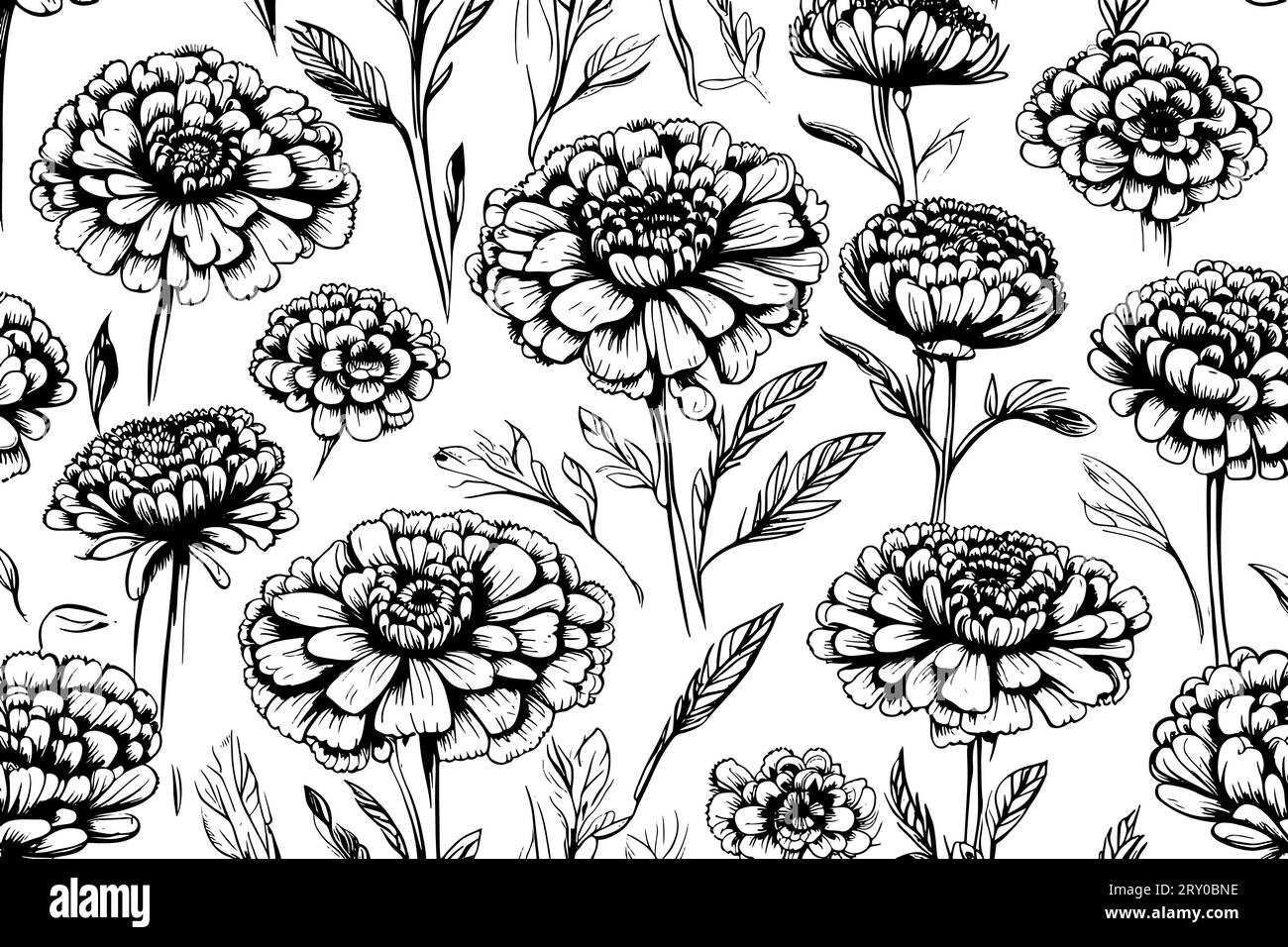 Dessin vectoriel de répétition d'esquisse Calendula. Fleurs et feuilles médicales isolées. Illustration de style gravé à base de plantes. Illustration vectorielle Illustration de Vecteur