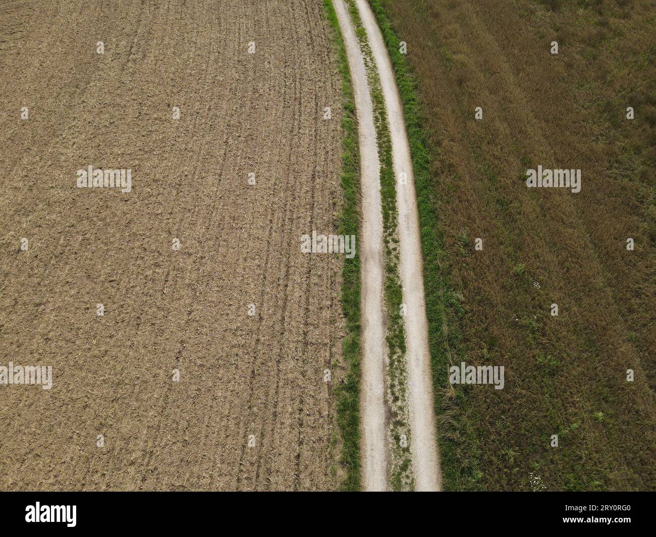 Chemin de terre dans le paysage entre les champs agricoles Banque D'Images