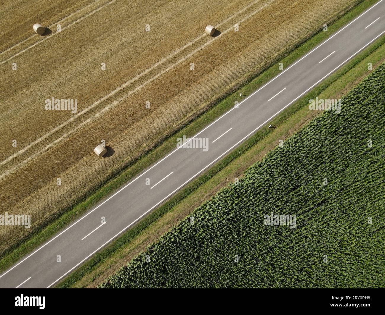 Vue de dessus d'une route dans le paysage entre un champ de maïs et un champ d'herbe avec des balles de foin Banque D'Images