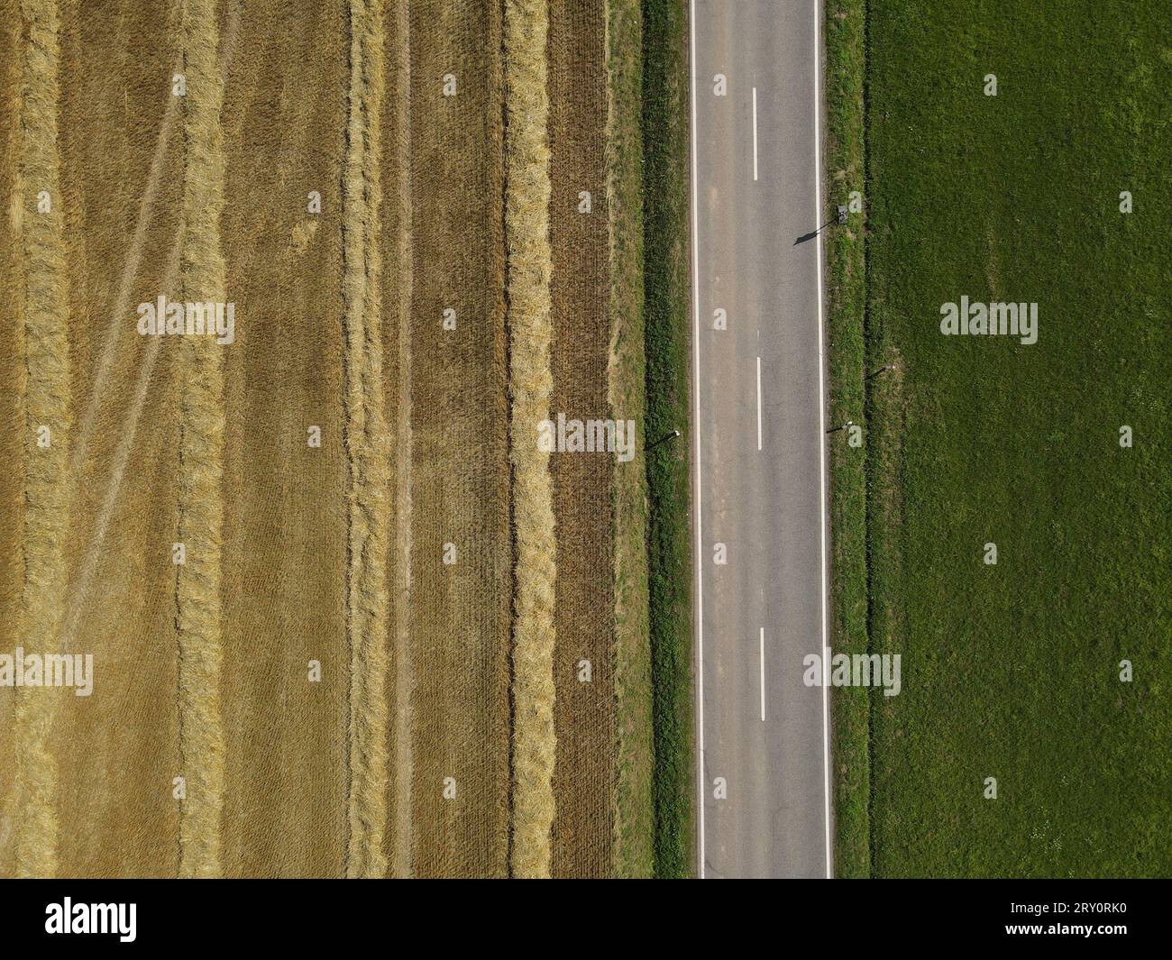Route entre les champs agricoles dans le paysage d'en haut Banque D'Images