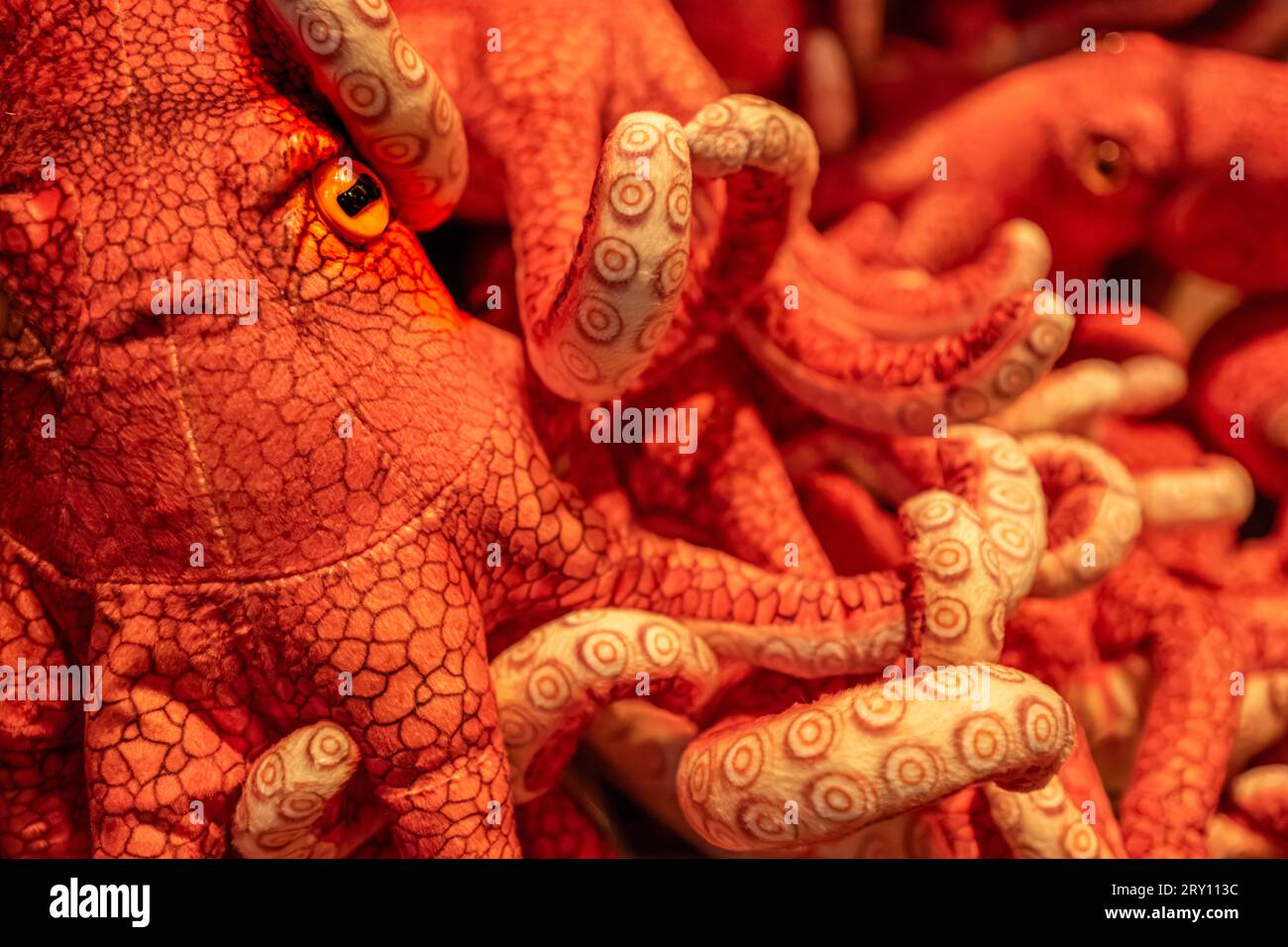 Poulpes en peluche à la boutique de cadeaux de l'Aquarium de Géorgie à Atlanta, Géorgie. (ÉTATS-UNIS) Banque D'Images