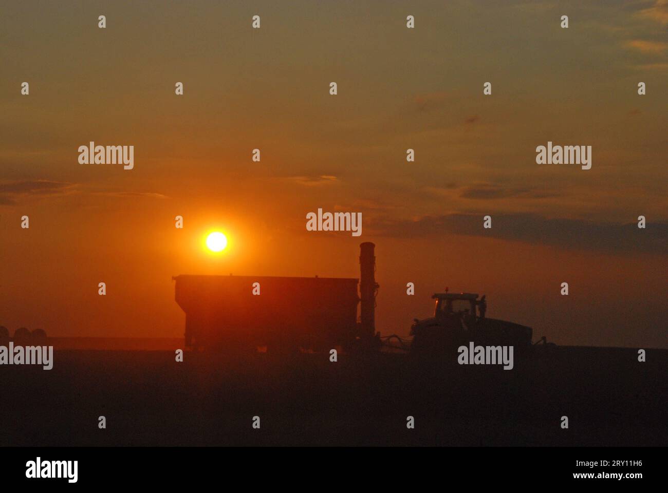 21.08.2010 Getreideernte/ Am Abend Deutschland/ Sachsen Anhalt/ Altmark/ BEI Rohrberg/ Am Abend/ Sonnenuntergang/ Getreideernte/ Traktor mit Hänger fährt vor der untergehenden sonne/ Gegenlicht/ Silhouette/ Dreck/ Staub/ Strohballen liegen im hintergrund auf dem Feld *** 21 08 2010 récolte des céréales in le soir Allemagne Saxe Anhalt Altmark près de Rohrberg dans le soir coucher du soleil tracteur de récolte de grain avec des entraînements de remorque à l'avant du soleil couchant rétro-lumière silhouette saleté poussière balles de paille se trouvent à l'arrière-plan sur le champ Banque D'Images