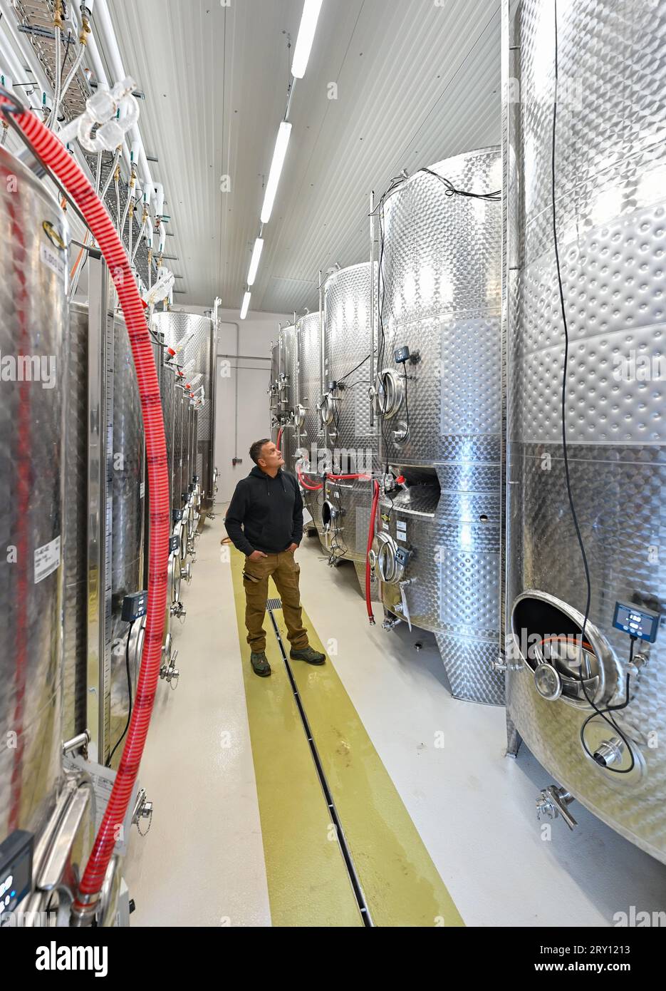 28 septembre 2023, Brandenburg, Pillgram : Matthias Jahnke, directeur général de la cave Patke, se tient dans le hall de fermentation et de stockage nouvellement construit. La viticulture dans le Brandebourg devient de plus en plus populaire. En 2014, Matthias Jahnke, directeur général de Weingut Patke, a planté les 1500 premières vignes. À ce jour, la superficie est passée à onze hectares. 15 variétés de vignes différentes ont été plantées à ce jour. Photo : Patrick Pleul/dpa Banque D'Images