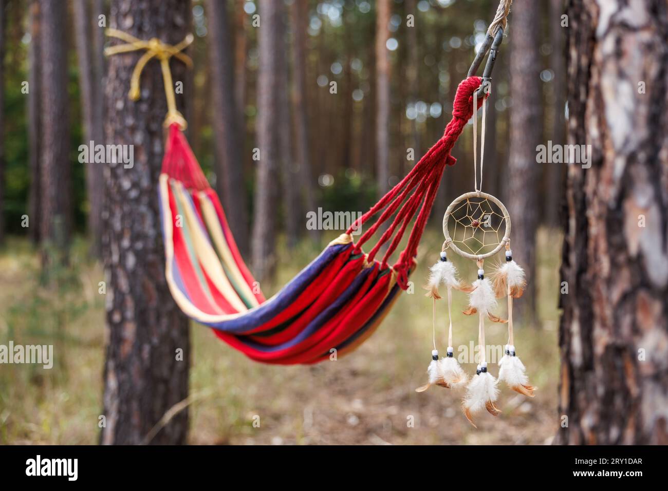 Hamac et dreamcatcher suspendus entre les arbres dans la forêt Banque D'Images