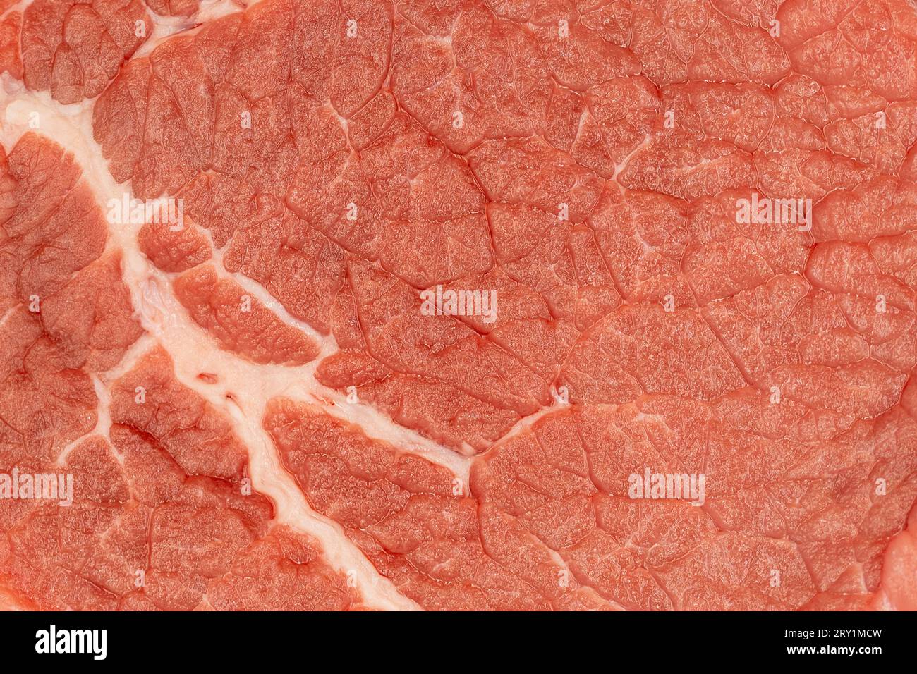 Texture de la viande. Gros plan de viande de bœuf et de tissu adipeux Banque D'Images