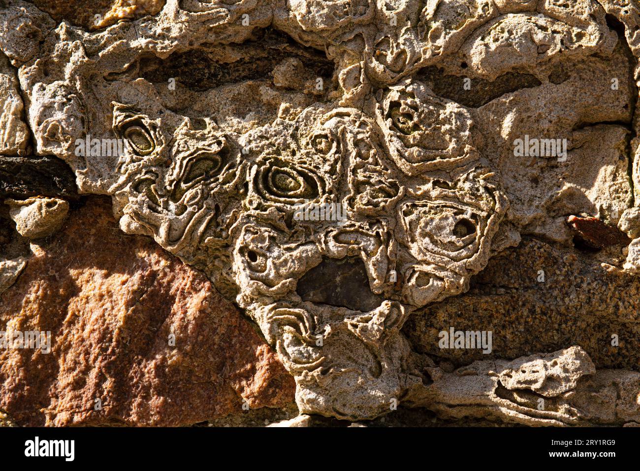 Gros plan d'efflorescence à la surface d'un vieux mur. Banque D'Images