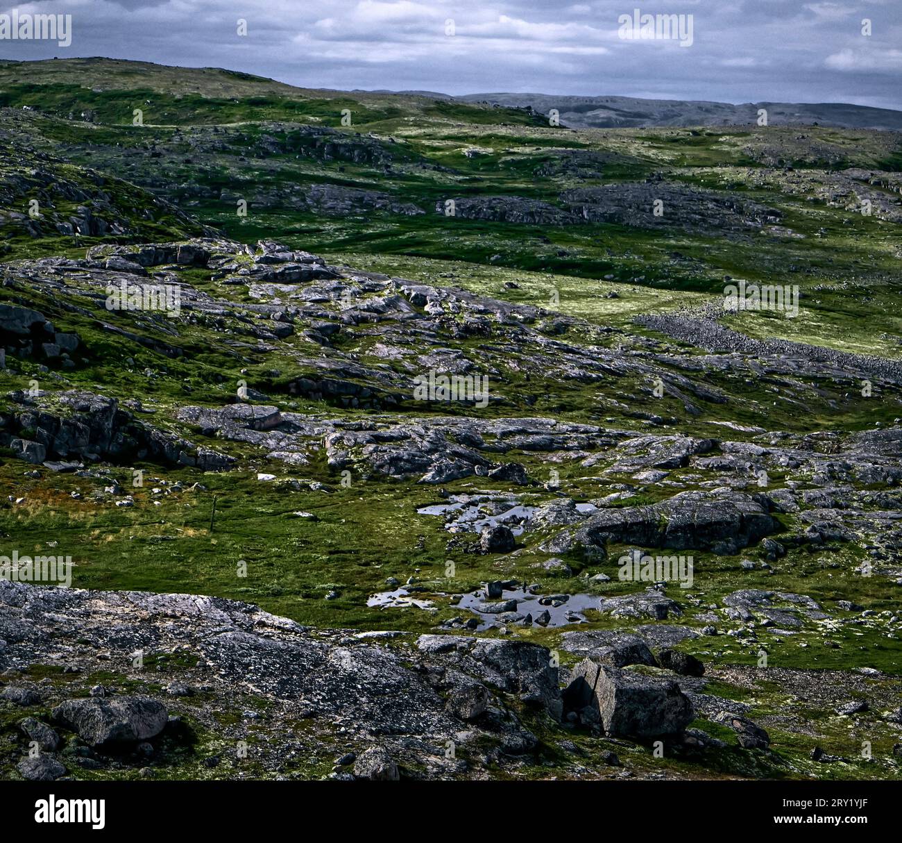 Paysage sombre de la toundra polaire. Côte et collines avec des pierres couvertes de mousse colorée. Nature septentrionale de Teriberka, péninsule de Kola. Mer de Barents Banque D'Images